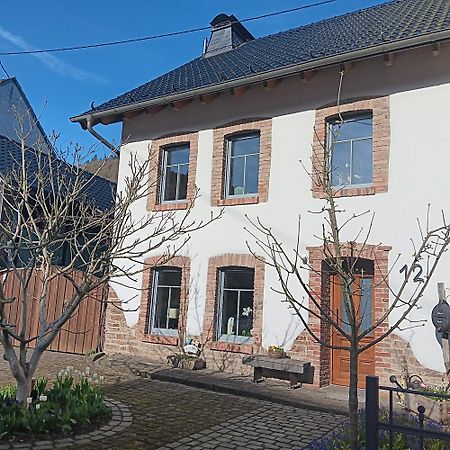 Dumpelfeld Eifler Brunnenhausヴィラ エクステリア 写真