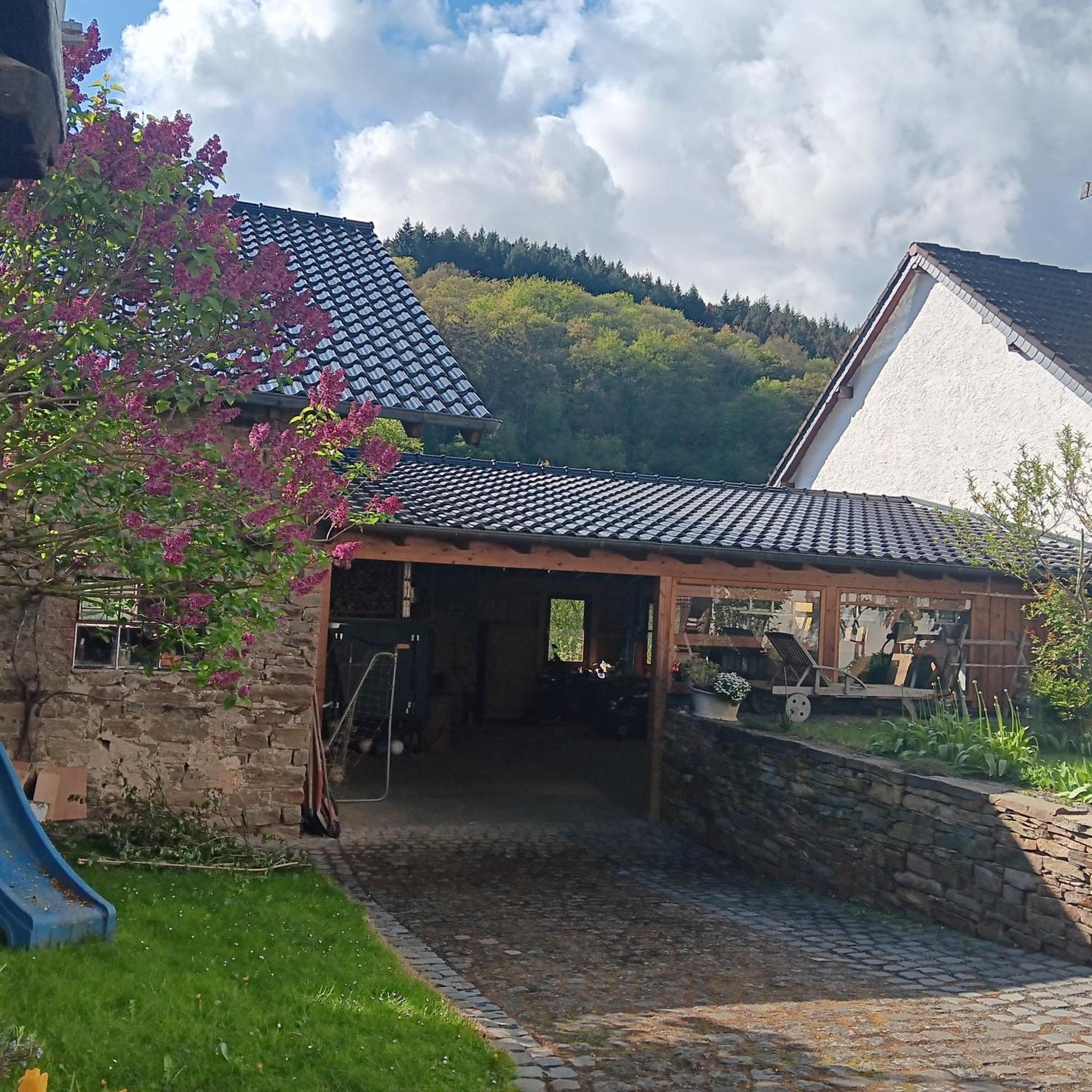 Dumpelfeld Eifler Brunnenhausヴィラ エクステリア 写真