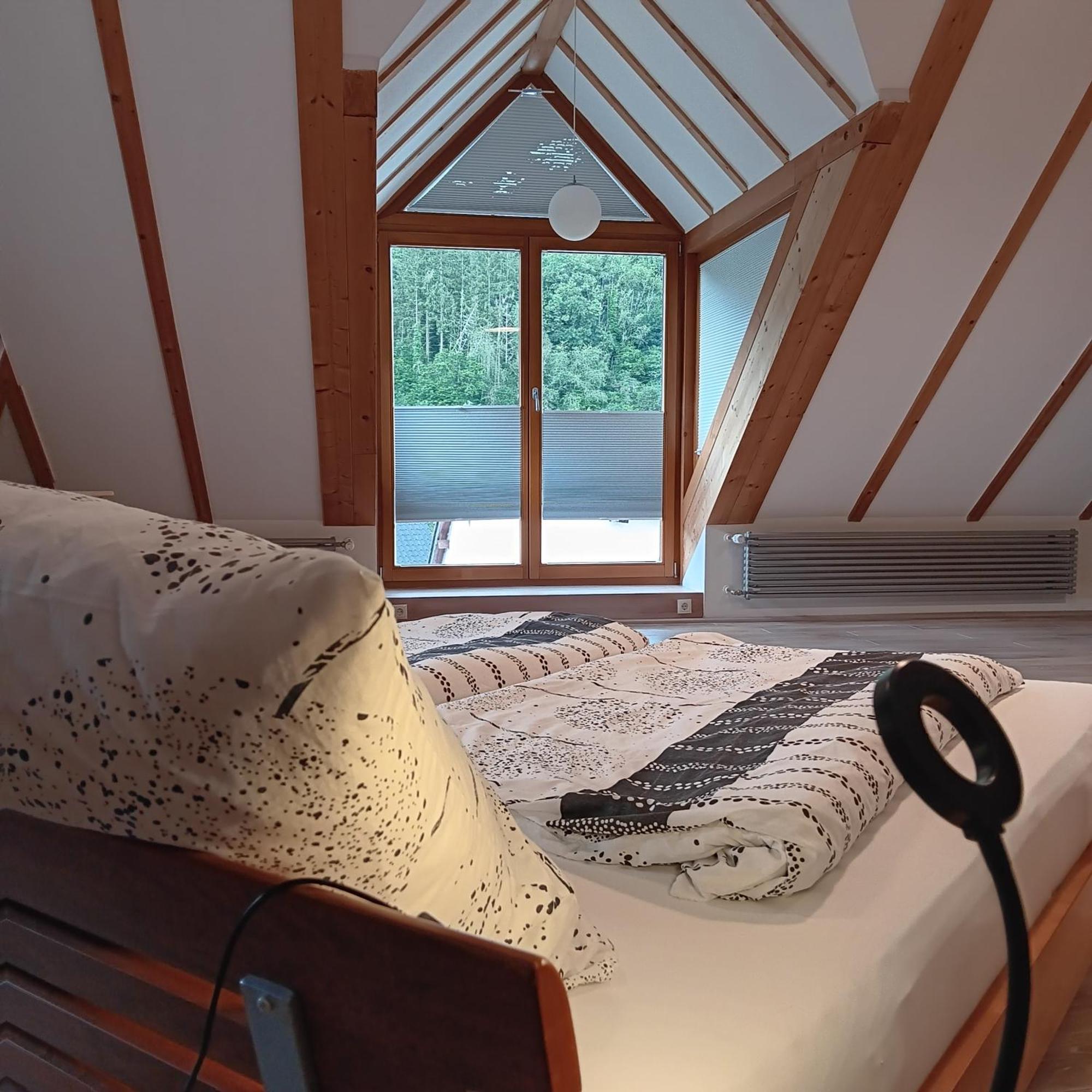 Dumpelfeld Eifler Brunnenhausヴィラ エクステリア 写真